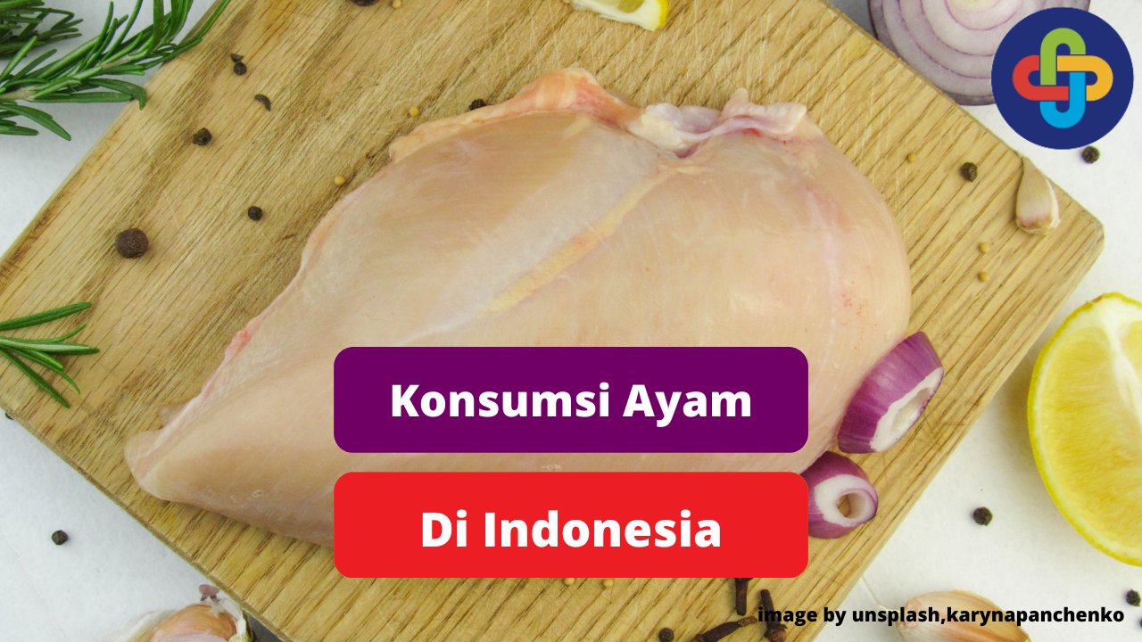Daging Ayam Sebagai Sumber Protein Hewani Bagi Masyarakat